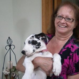 Meet your Posher, Jo